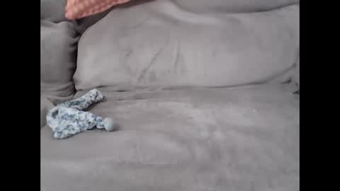 pal online show from 27, 2, 2026