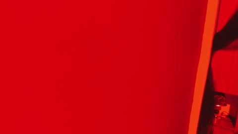  P A M  online show from 16, 11, 2025