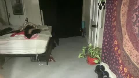 Pantiesofthefae online show from 21, 2, 2025