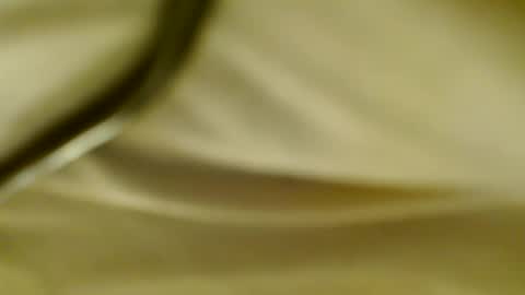 Snapshot of pantyjim19 chatting on 20, 2, 2025 PantyJim19 online show from 20, 2, 2025