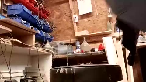 papajb70 online show from 27, 1, 2025