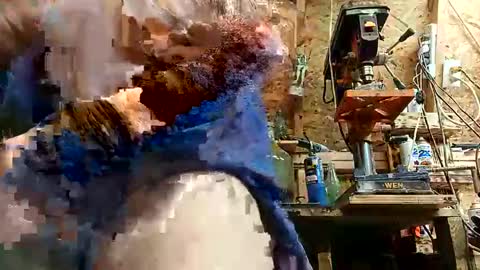 papajb70 online show from 10, 9, 2025