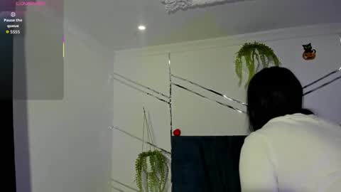 paris_evans_01 online show from 10, 1, 2026