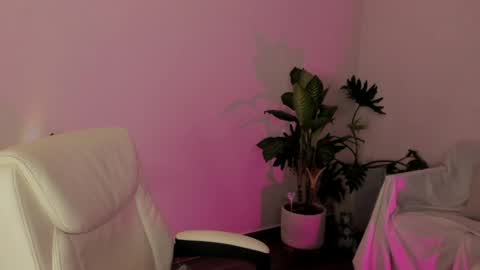    online show from 7, 4, 2026