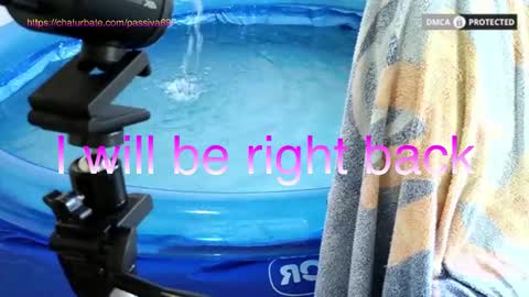 Dome Passiva697 online show from 1, 2, 2026