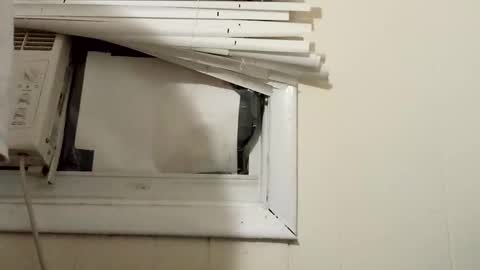 JD online show from 17, 12, 2024