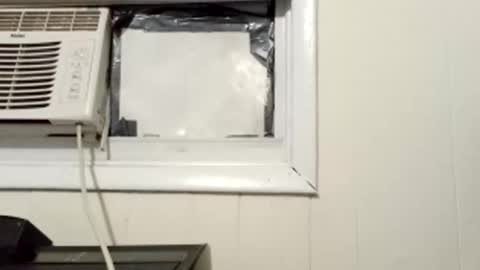 JD online show from 1, 3, 2025