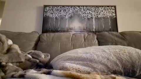 Snapshot of patrick247288 chatting on 12, 2, 2025 patrick247288 online show from 12, 2, 2025