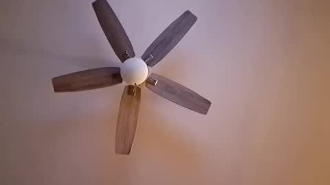 Snapshot of patrick247288 chatting on 17, 9, 2025 patrick247288 online show from 17, 9, 2025