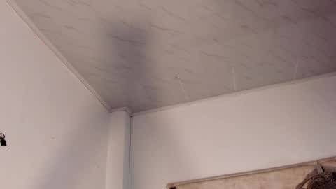 patrik online show from 14, 4, 2026