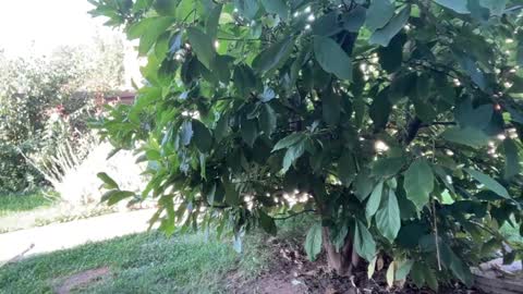 Andreea online show from 23, 9, 2025