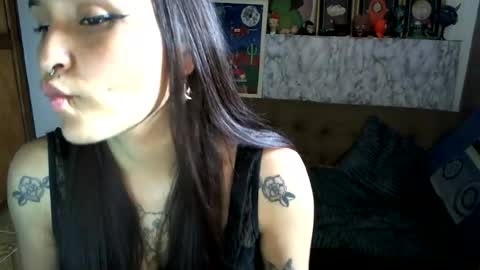 Snapshot of pau_cat chatting on 19, 7, 2026 Pau online show from 19, 7, 2026