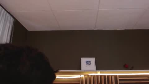 Paul online show from 13, 11, 2025