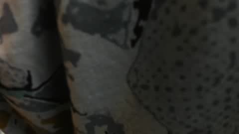 Paul Rivera online show from 27, 12, 2024