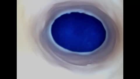 Paula 18 Aninhos online show from 20, 2, 2025