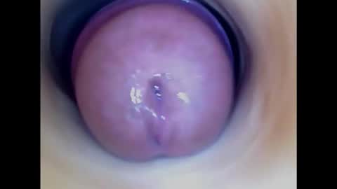 Paula 18 Aninhos online show from 14, 10, 2025