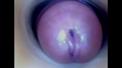 Paula 18 Aninhos online show from 8, 7, 2026
