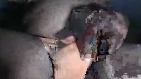 paulcockring online show from 23, 11, 2025