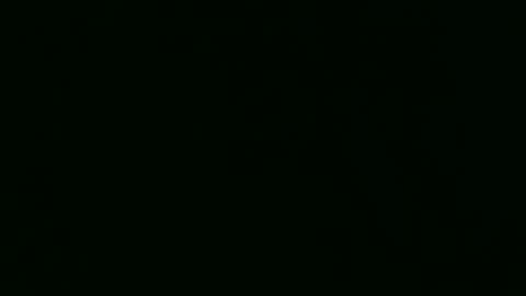 PaulCongo online show from 22, 4, 2026