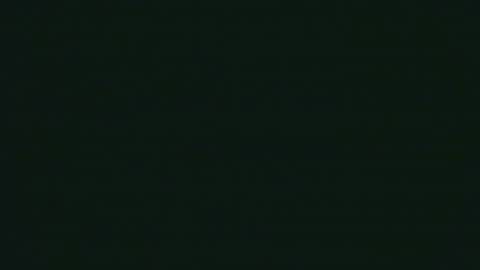 paulina online show from 18, 4, 2026