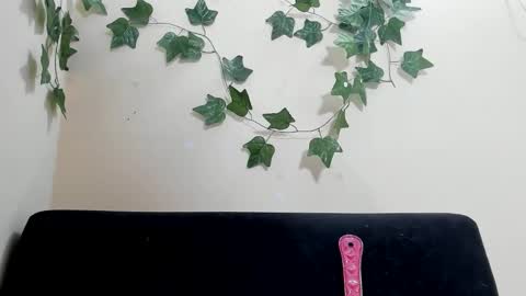 Snapshot of paulinches_love chatting on 9, 2, 2026 Paulinches online show from 9, 2, 2026