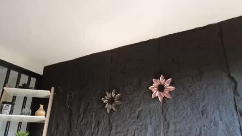 Snapshot of paulo527 chatting on 17, 1, 2026 Paulo online show from 17, 1, 2026