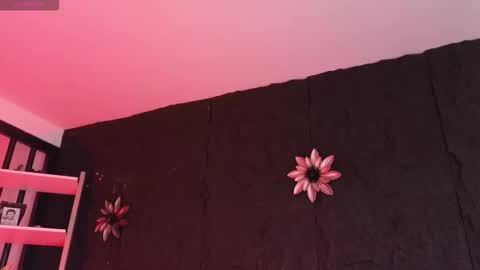 Snapshot of paulo527 chatting on 5, 2, 2026 Paulo online show from 5, 2, 2026