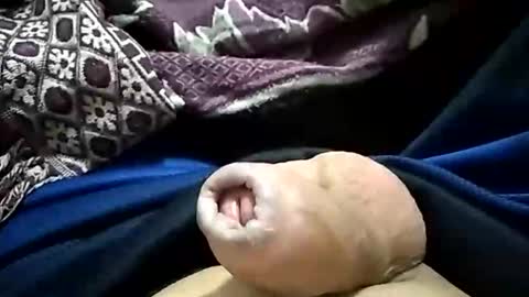 Snapshot of paulojdo chatting on 29, 10, 2025 carlosjdo online show from 29, 10, 2025