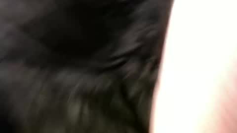 pauly online show from 1, 1, 2025