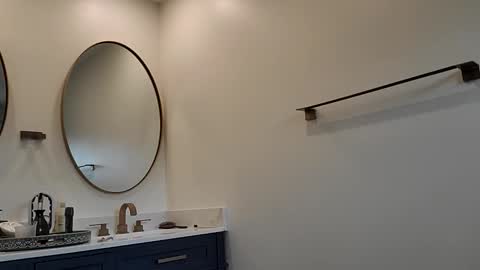 Pavone splash online show from 1, 12, 2025