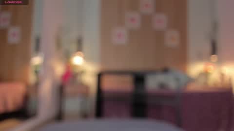 Dani online show from 4, 12, 2024