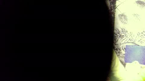 PedrOO OO online show from 3, 12, 2024