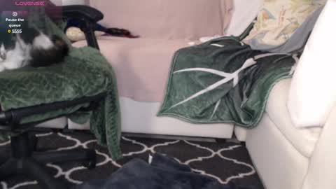 NEXT CHILL SESH  1130 930pm -ish PEEK online show from 6, 3, 2025