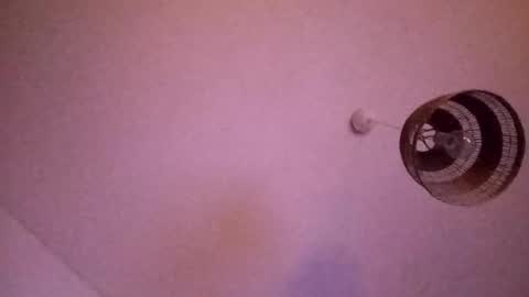 penesvoladores92 online show from 28, 2, 2026