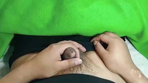 Penils online show from 20, 4, 2026