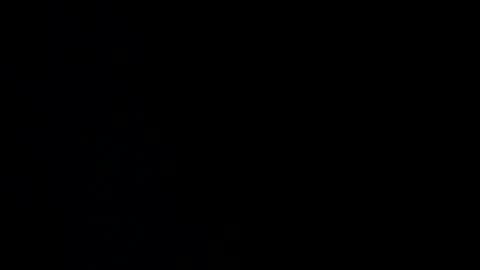 pepegrillo20209 online show from 17, 12, 2024