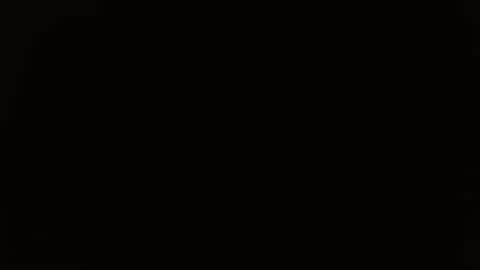 Snapshot of pepitt45 chatting on 21, 10, 2025 Megan online show from 21, 10, 2025