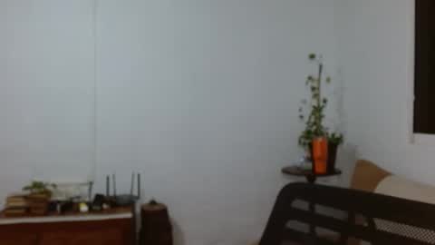 Snapshot of pepitt45 chatting on 3, 3, 2026 Megan online show from 3, 3, 2026