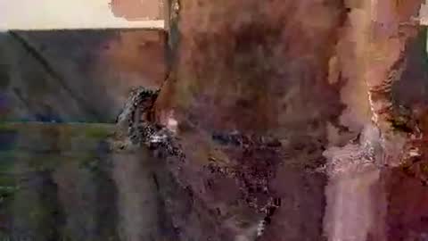 perfectFTM online show from 12, 11, 2025