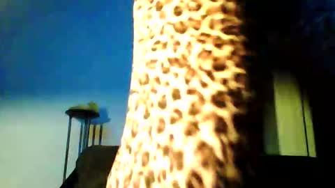 permageil_nackt_alt online show from 26, 2, 2026