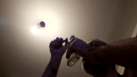 pervpig1 online show from 27, 11, 2025