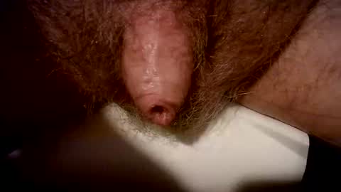 peterpeteropoulos online show from 20, 2, 2025