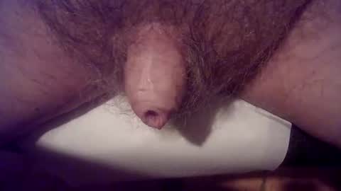 peterpeteropoulos online show from 1, 3, 2025