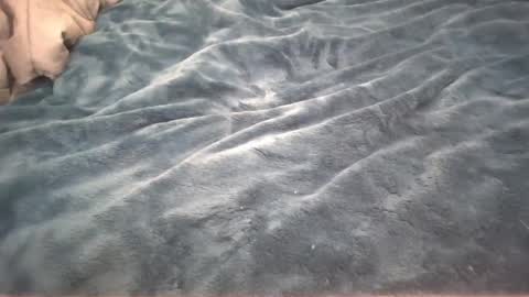 Little cupcake online show from 26, 2, 2025