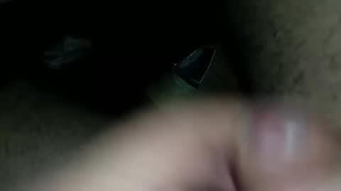 petrli online show from 1, 2, 2025