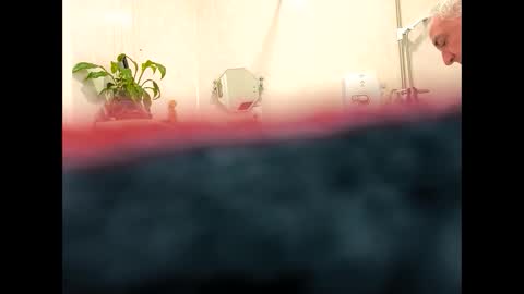 petrol63102 online show from 19, 2, 2026