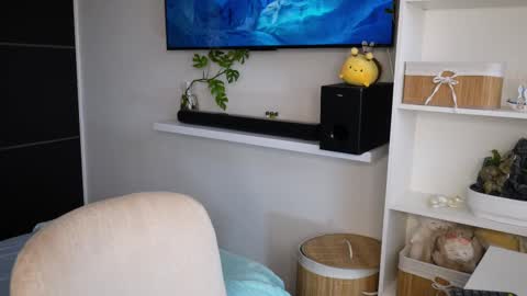 Pettercat online show from 9, 10, 2025