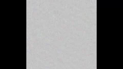 peytonn_monroe online show from 4, 2, 2026