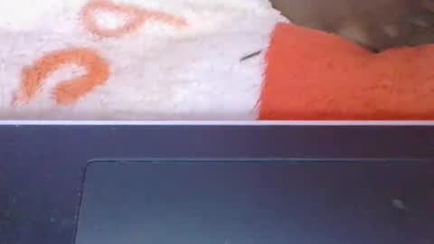 Snapshot of phania185885 chatting on 8, 5, 2026 phania185885 online show from 8, 5, 2026