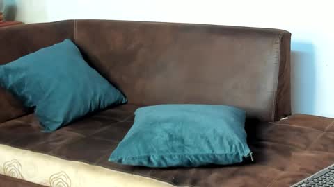 Philip Dalton online show from 28, 1, 2025